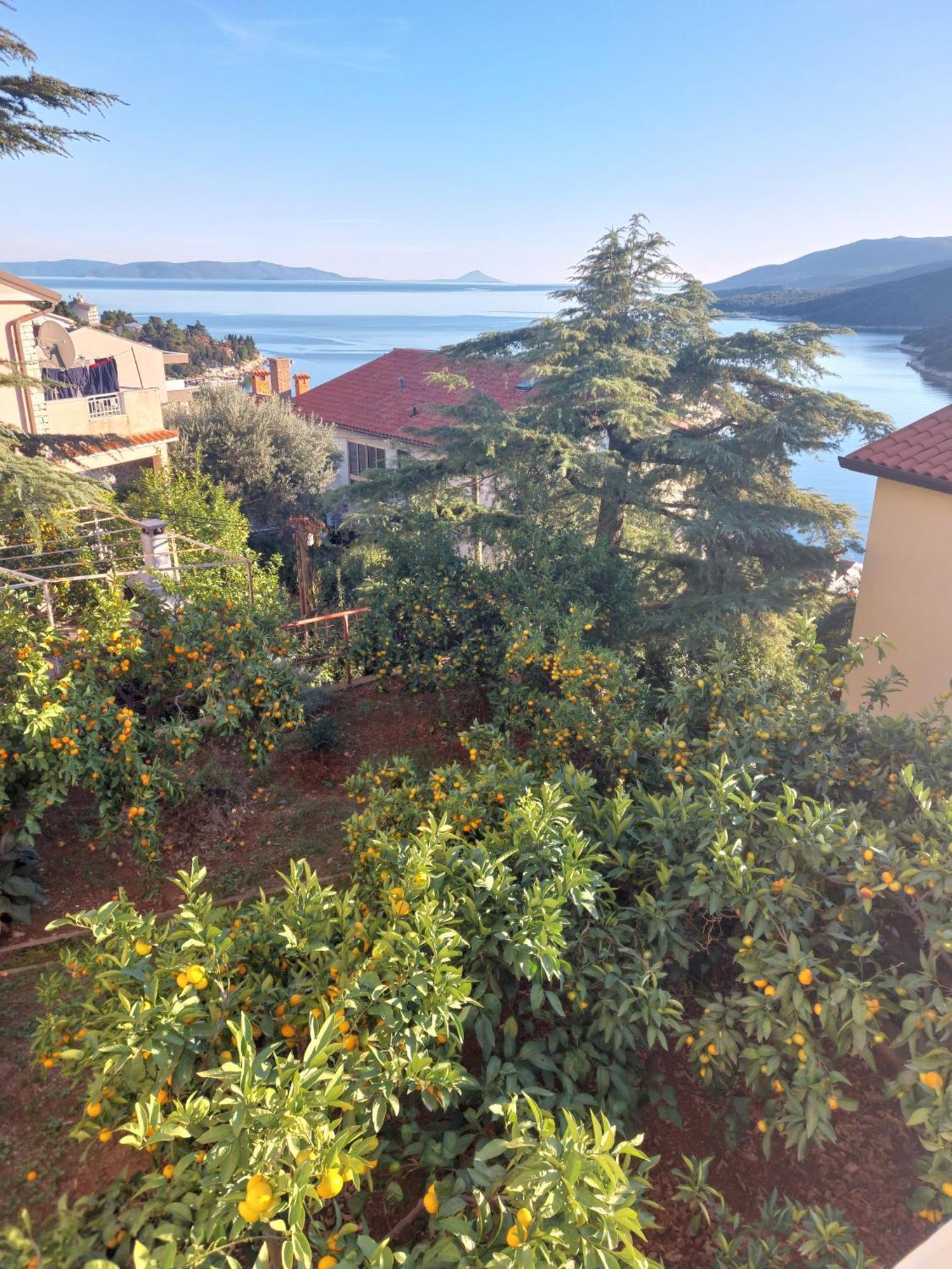 Apartment Park Rabac Bagian luar foto
